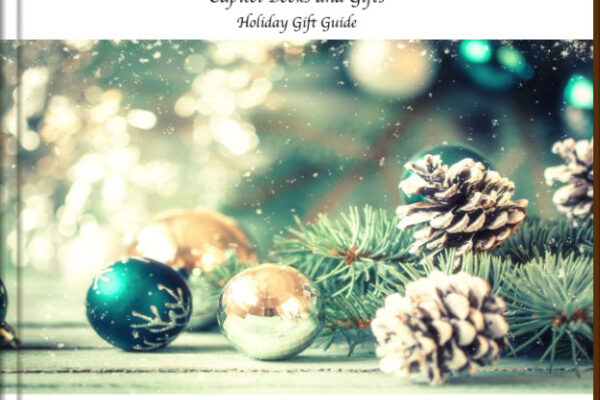 The 2023 DDSO holiday gift guide cover