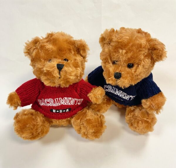 Sacramento Sweater Bear